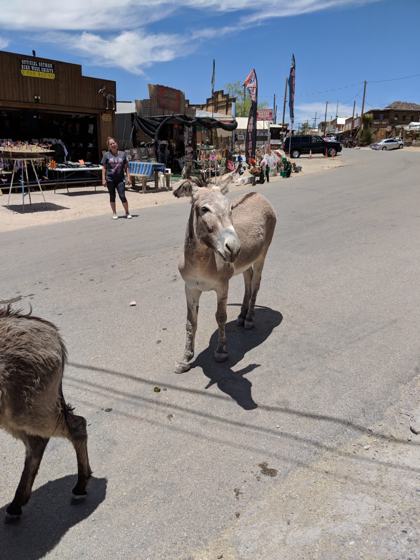 Oatman