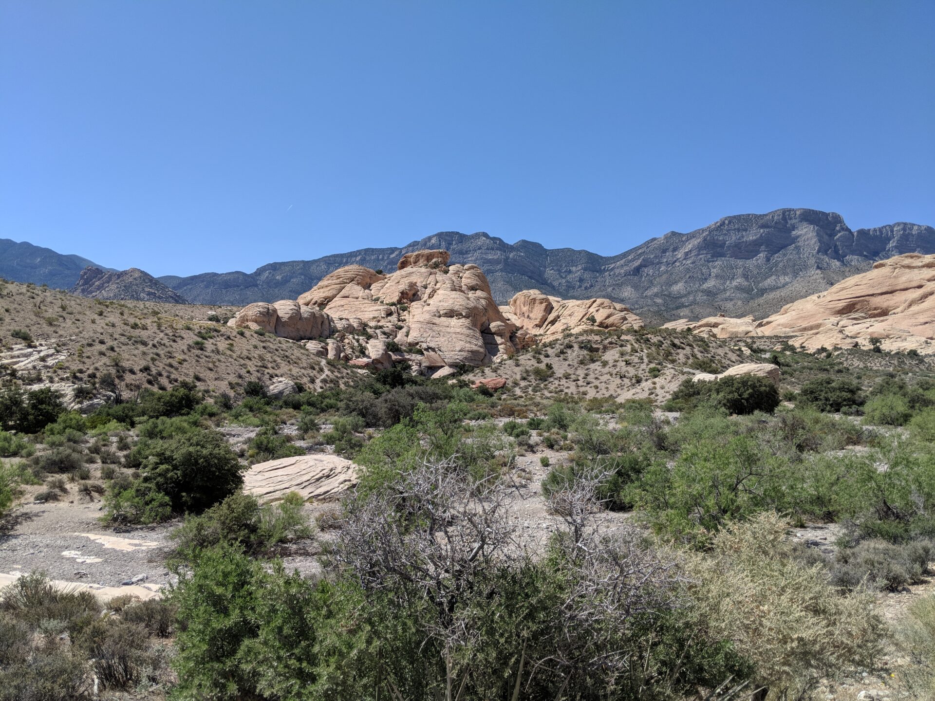 Red Rock Canyon