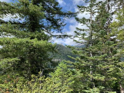 Mount Rainier National Park