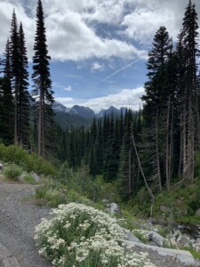 Mount Rainier National Park