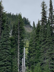 Mount Rainier National Park