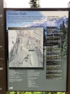 Mount Rainier National Park