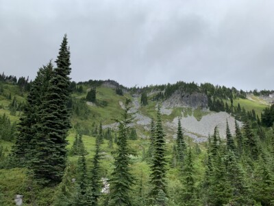 Mount Rainier National Park
