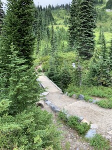 Mount Rainier National Park