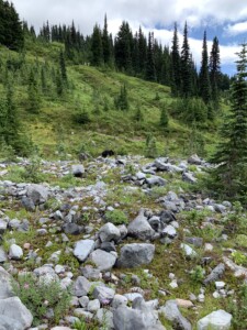 Mount Rainier National Park