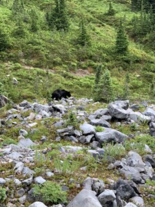 Mount Rainier National Park