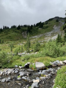 Mount Rainier National Park