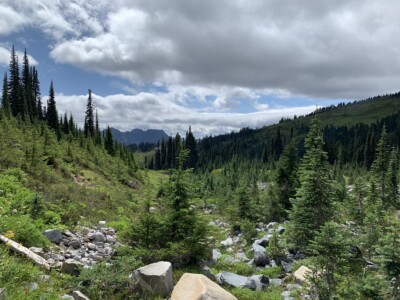 Mount Rainier National Park