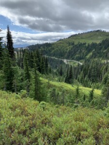 Mount Rainier National Park