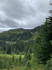 Mount Rainier National Park