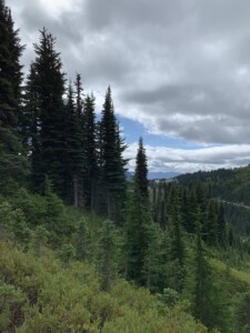 Mount Rainier National Park