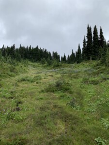 Mount Rainier National Park