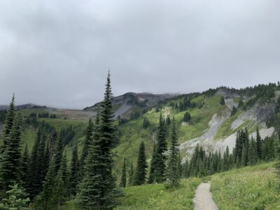 Mount Rainier National Park