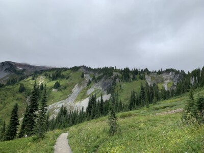 Mount Rainier National Park