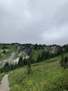Mount Rainier National Park