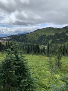 Mount Rainier National Park