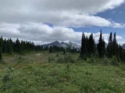 Mount Rainier National Park