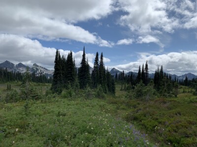 Mount Rainier National Park