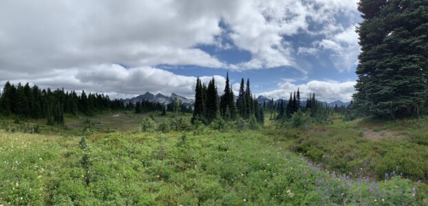 Mount Rainier National Park