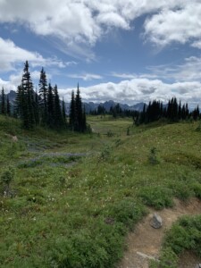 Mount Rainier National Park