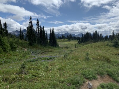 Mount Rainier National Park