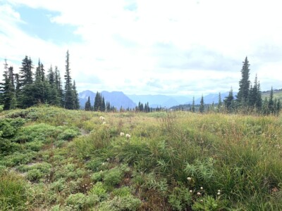 Mount Rainier National Park