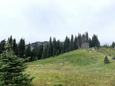 Mount Rainier National Park