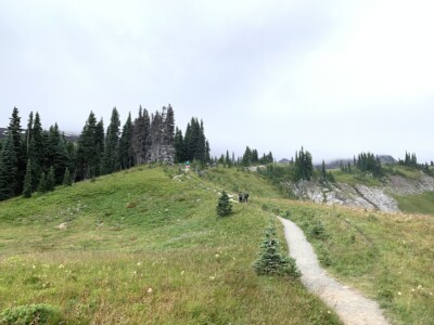 Mount Rainier National Park