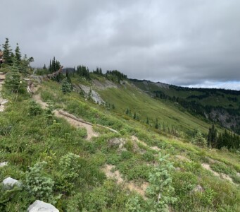 Mount Rainier National Park
