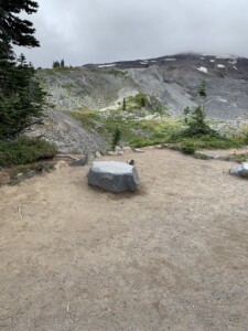 Mount Rainier National Park