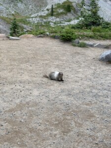 Mount Rainier National Park