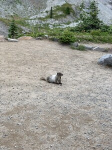 Mount Rainier National Park