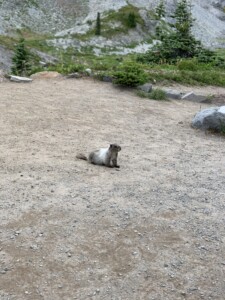 Mount Rainier National Park