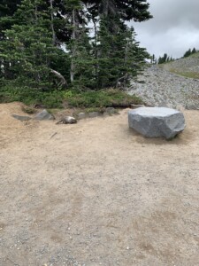 Mount Rainier National Park