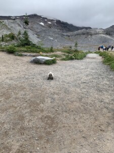 Mount Rainier National Park