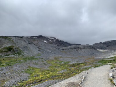 Mount Rainier National Park