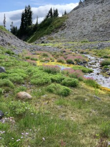 Mount Rainier National Park