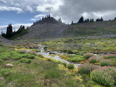 Mount Rainier National Park