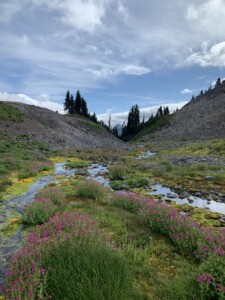 Mount Rainier National Park