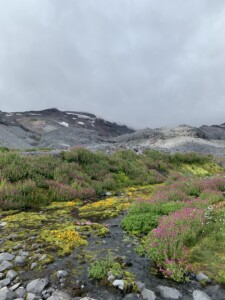 Mount Rainier National Park