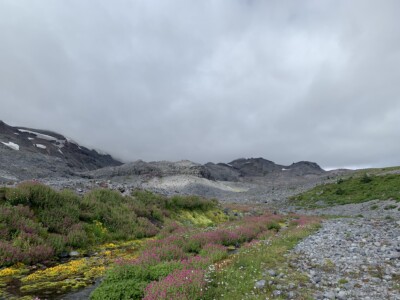 Mount Rainier National Park