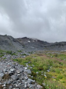 Mount Rainier National Park