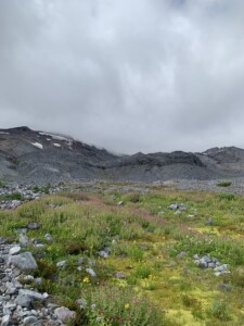Mount Rainier National Park