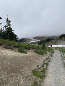Mount Rainier National Park