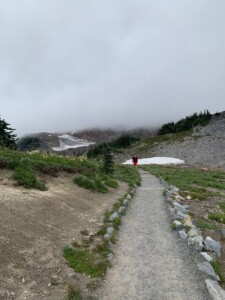 Mount Rainier National Park