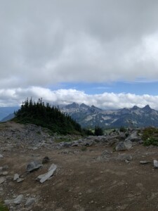 Mount Rainier National Park