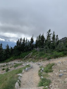 Mount Rainier National Park