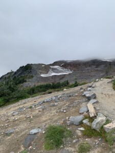 Mount Rainier National Park