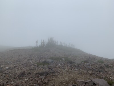 Mount Rainier National Park