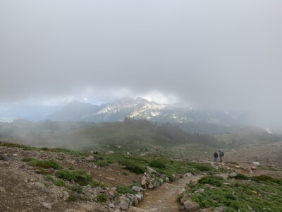 Mount Rainier National Park